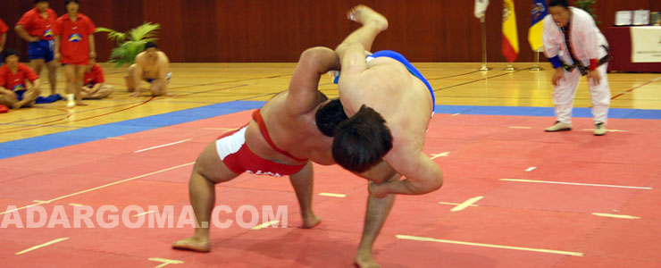 Tres adargomistas defendieron a Canarias en Madrid (foto: Carlos Ruiz)