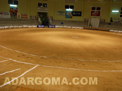 Terrero "Jos&eacute; Luis S&aacute;nchez Alem&aacute;n" de Firgas (foto: Raquel Perdomo)